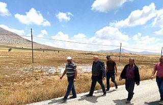 Karaman’da aniden yağan dolu, nohut tarlalarına...