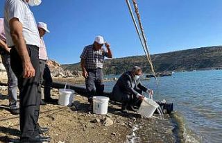 Karaman’da Fisandun göletine 250 bin yavru sazan...