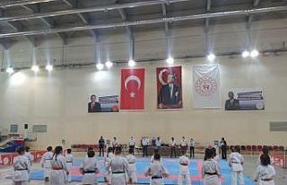 Karate İl Birinciliği tamamlandı