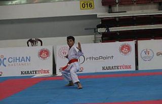 Karate şöleni başladı