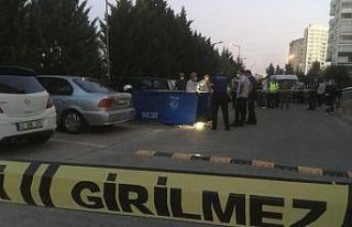 Kardeşini öldüren abi yakalanarak cezaevine gönderildi