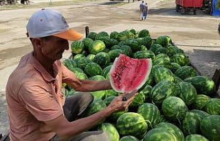 Karpuz ve kavun ekenin bu yıl yüzü güldü