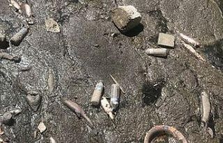 Kars Çayı’nda toplu balık ölümü