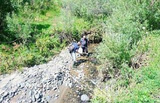 Kars’ta DKMP’den alabalık üretim çalışması