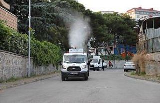Kartal’da her gün 7 mahalle, sivrisinek ve haşerelere...
