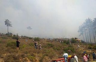 Kavaklıdere’de ikinci yangın önlendi