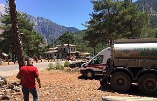 Kayseri Şeker Aladağlar Milli Parkı’ndaki yangın...