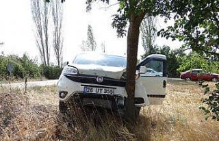 Kaza yapmamak için tarlaya girdi, ağaca çarparak...