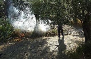 Kazdağları eteklerindeki zeytinlik yangını devriyelerin...