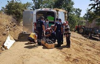 Kazdıkları çukurda hayatlarını kaybettiler
