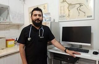 Kene yapışmasının önüne birkaç önlemle geçilebilir