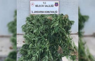 Kenevir eken 1 kişi tutuklandı