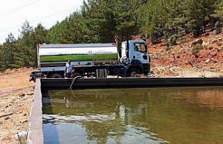 Kilis İtfaiyesi’nden Marmaris’teki söndürme...