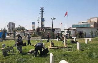 Kilis’te parkların bakımı 40 dereceyi aşan sıcağa...
