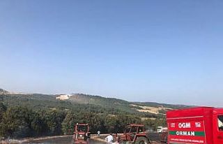 Kırklareli’nde yangın, ormanlık alana sıçramadan...