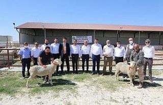Kırsal Gençlik Değişim Festivali Sivrihisar’da...