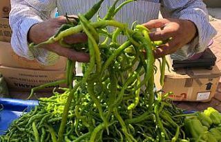 Kışa hazırlık yapanlar biber ve patlıcan satışlarında...