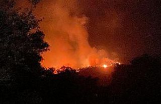 Kıyıkışlacık Gürçamlar bölgesindeki yangın...