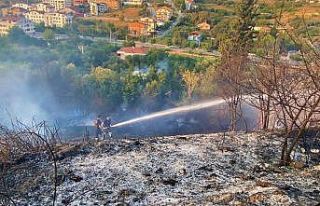 Kocaeli’de ağaçlık alan alevlere teslim oldu