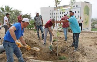 Koçarlı Millet Bahçesi’nde anlamlı etkinlik