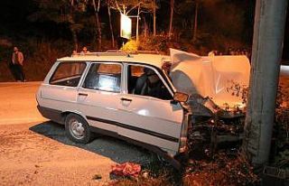 Kontrolden çıkan otomobil aydınlatma direğine...