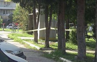 Konuşmak için parka çağırdığı husumetlisine...