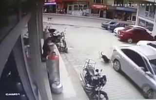 Köpeği ezdi, yoluna devam etti, o anlar kameraya...