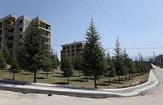 Koruluk alanlar modernleşiyor