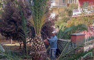 Köşk Belediyesi okulları yüz yüze eğitime hazırlıyor