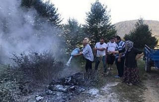 Kovayı kapan ormana koştu