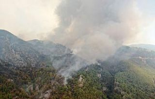 Köyceğiz’de dumanlar tekrar yükseldi