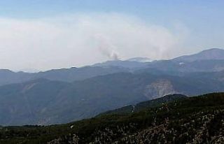 Köyceğiz’deki yangının dumanları Çameli’de...