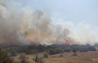 Kula’daki orman yangını kontrol altına alındı