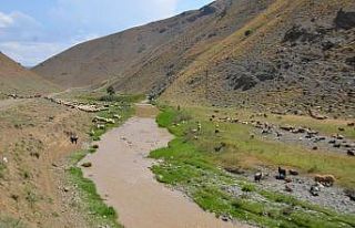 Kuraklık sonrası aşırı yağışlar sele neden...