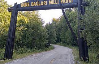 Küre Dağları Milli Parkı girişindeki ahşap levha...