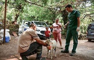 Kuşadası yangın bölgeleri için seferber oldu