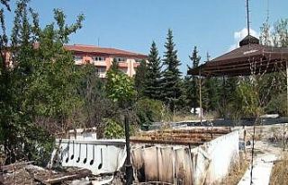 Kütahya’da ’ağaç katliamı’ iddiası