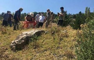 Kütahya’da bin kınalı keklik doğa ile buluştu