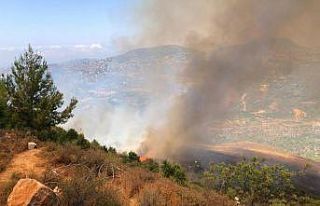Lübnan’da ormanlık alanda yangın