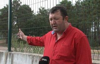 Mahalle muhtarından İBB’ye tepki: “Onlarca hayvanın...