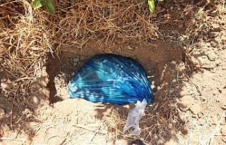 Mahalleli zehirlenen canlar için ayağa kalktı