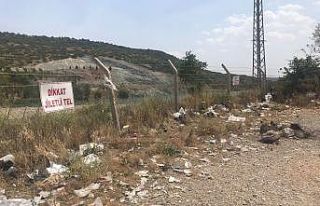 Mamuca Göleti’nin çevresi çöpten geçilmiyor