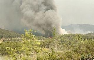 Manavgat’ta alevlerle mücadele sürüyor: Dumanlar...