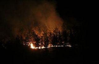 Manavgat’ta otellere yakın noktada yangın çıktı,...