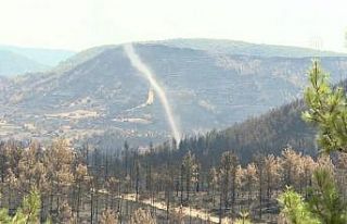 Manavgat’ta yangın alanındaki küçük hortum...