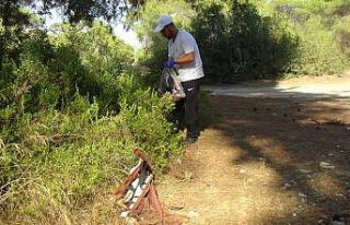Manavgat’ta yangın sonrası gönüllülerden, ormanlık...