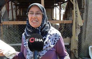 Manavgat’ta yangından, canı pahasına küçükbaş...