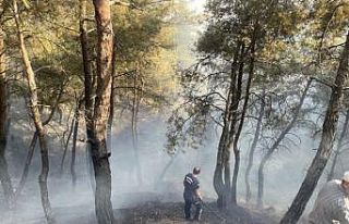 Manisa Büyükşehir Selçikli yangını için seferber...