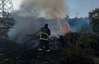 Mardin’de ormanlık alanda çıkan yangın kısa...