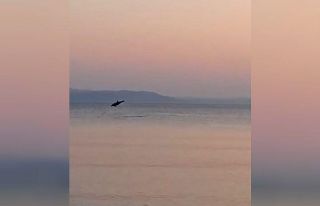 Marmara’da yunusların yaptığı geçiş izleyenleri...